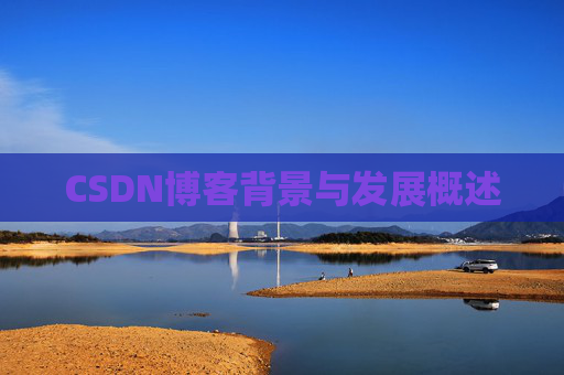 CSDN博客背景与发展概述